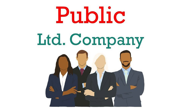 Public Limited Company